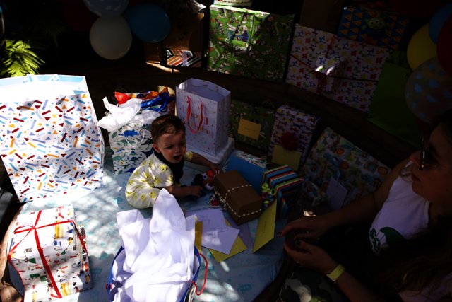 A Joyful Celebration: Baby Wesley's 1st Birthday Bash