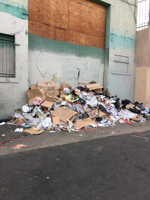 Trash Heap in LA