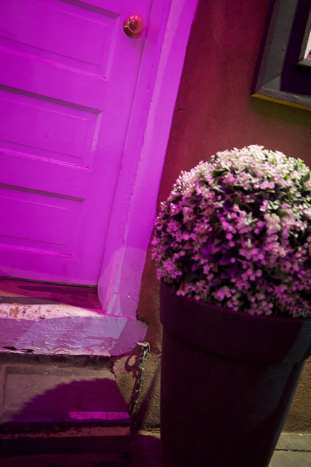 Vibrant Purple Door with Flowering Basket in Santa Fe