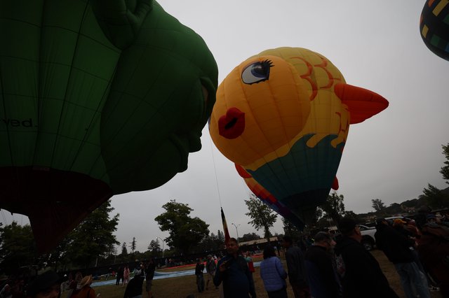 Giant Fish and Green Giant Kiss at Balloon Festival