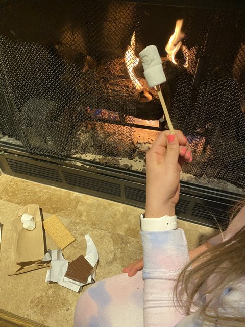 Roasting Marshmallows with a Friend