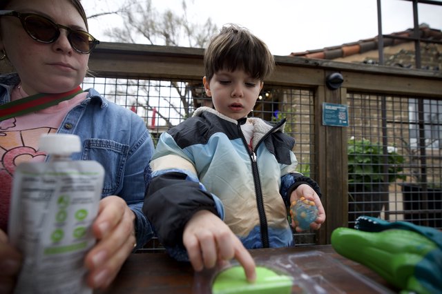 Young Child Engaged in Animal Feeding Activity