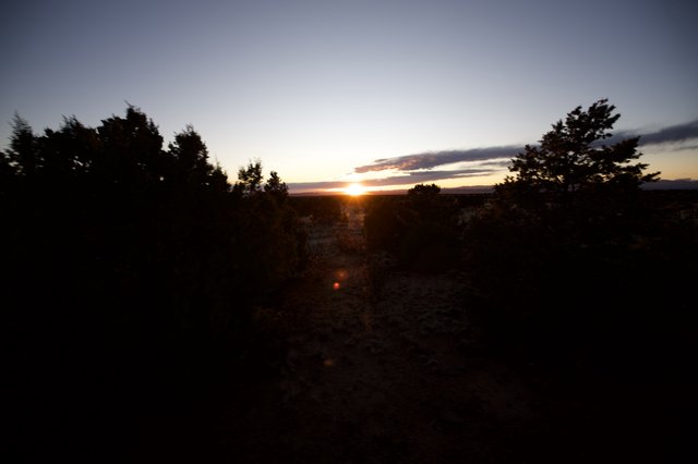 Sunset Path Through Desert Scrubland at Twilight