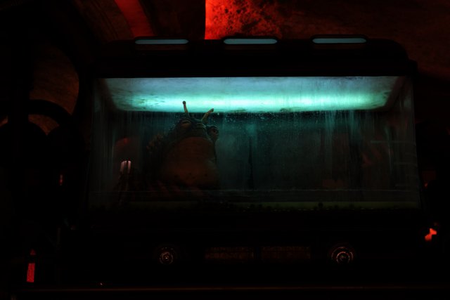 Green Light on Fish Tank