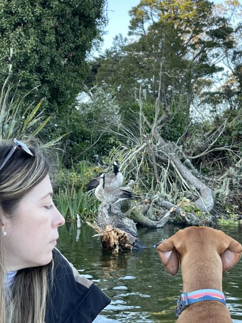 Woman and her canine friend mesmerized by a duck at Stow Lake