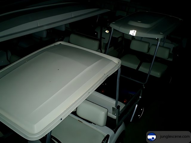 Night Ride on a White Golf Cart