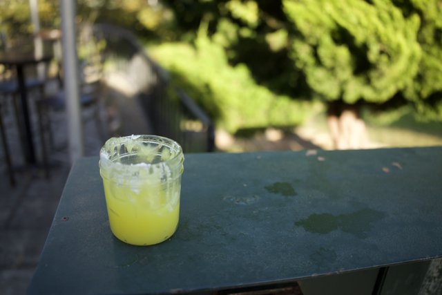Zesty Afternoon Refreshment at SF Zoo, November 2023