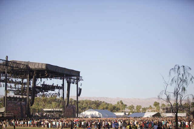 Desert Concert Craze