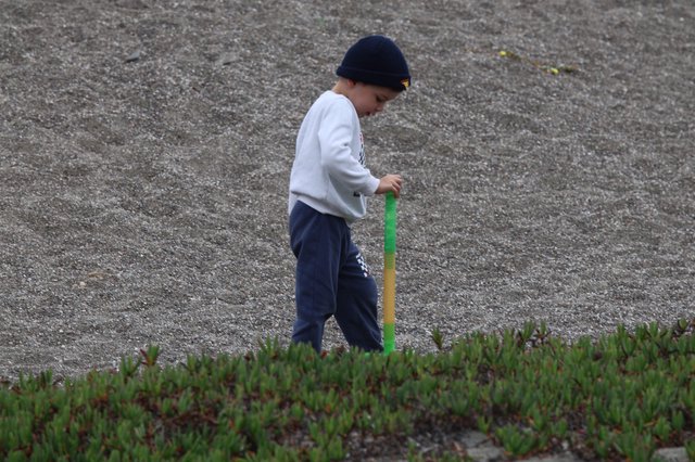 Young Boy Explores Rocky Beach with Stick
