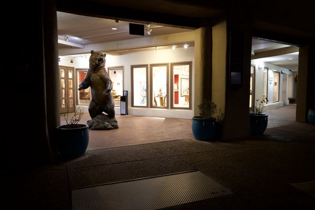 Night View of Art Gallery with Bear Sculpture