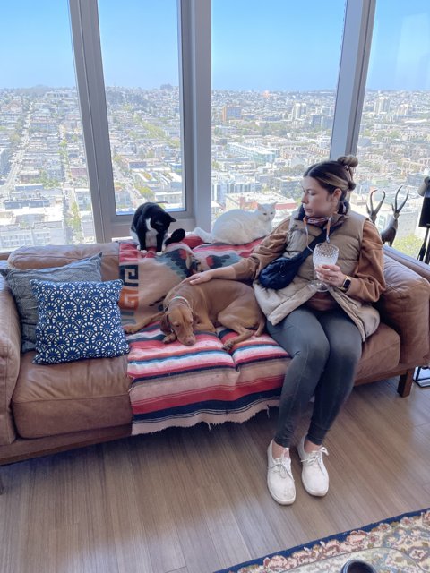 Cozy Afternoon with Furry Friends