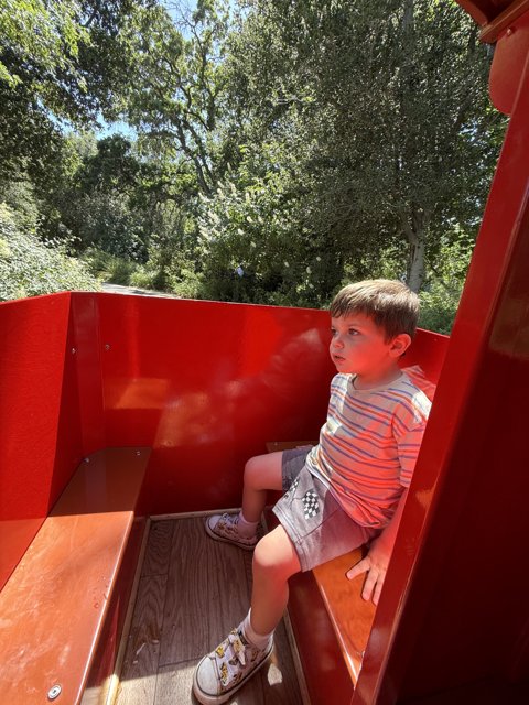 Adventures in the Park