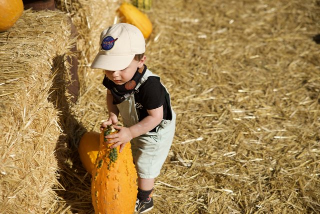 Fall Harvest - Pumpkin Picking Day