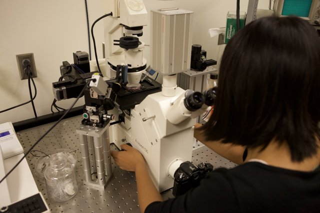 A Female Scientist's Studies Under the Microscope