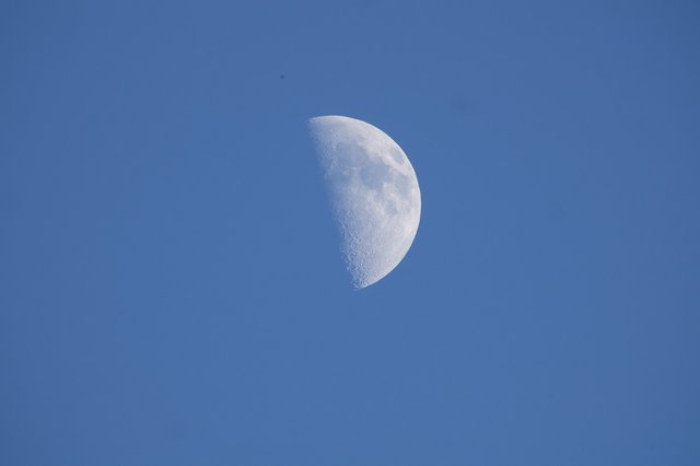 Waxing Gibbous Moon in Clear Blue Sky