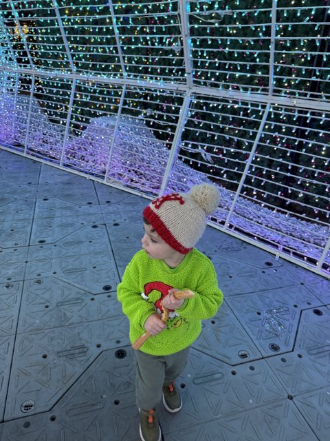 Winter Wonder at PayPal Park