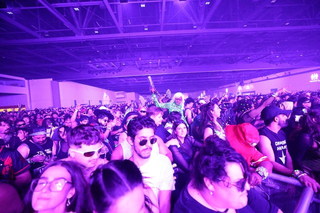 Massive Crowd Energy at Wobbleland 2026 Festival