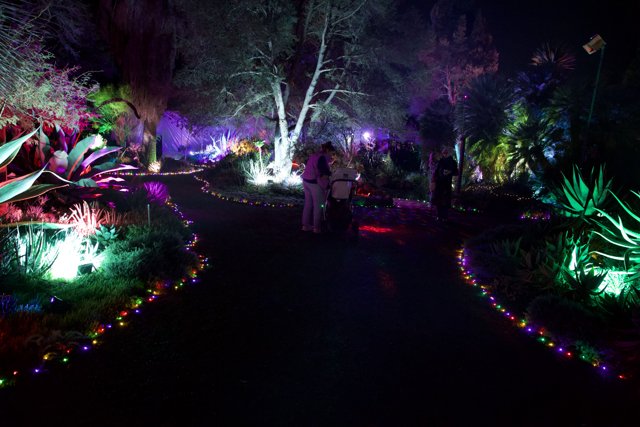 Enchanted Evenings at Ruth Bancroft Garden