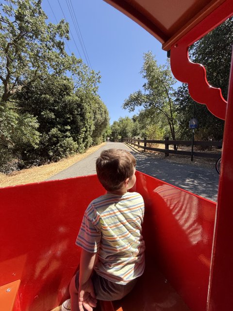Joyride Under the Summer Sun