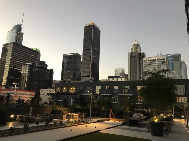 Rooftop View of LA Cityscape
