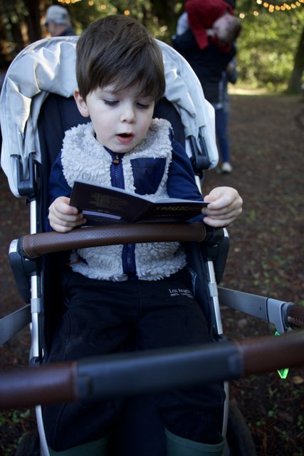 Curious Explorer at Thistlewyck