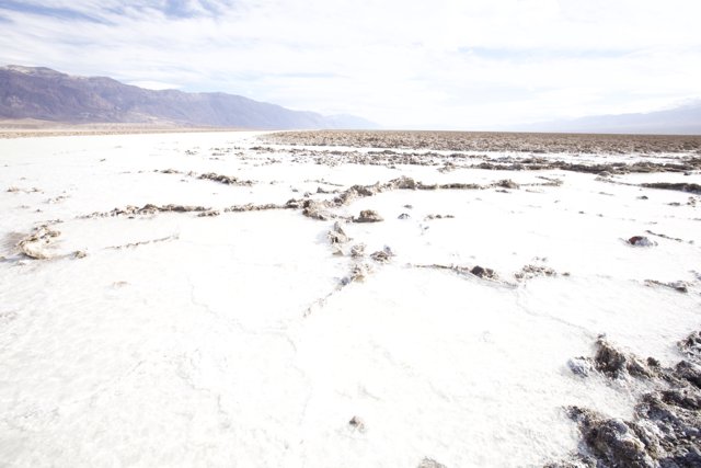 Surreal Salt Flats