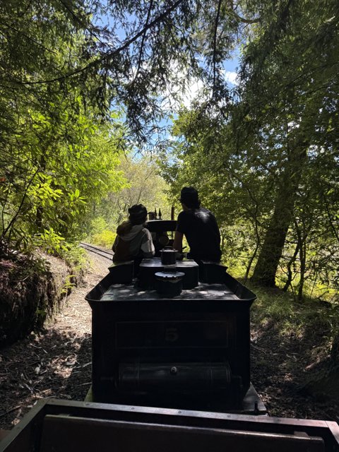 Journey Through the Grove