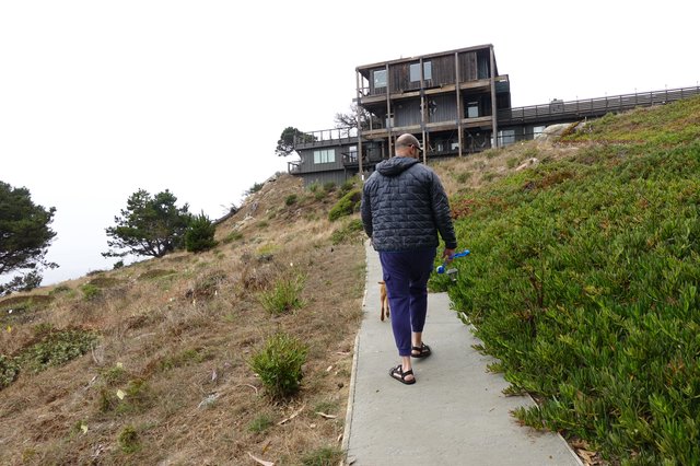 Hillside Path to Modern Coastal Homes