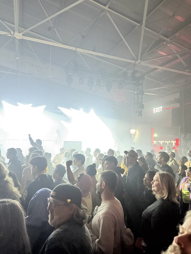 Energetic Crowd at Electronic Music Concert with Stage Fog