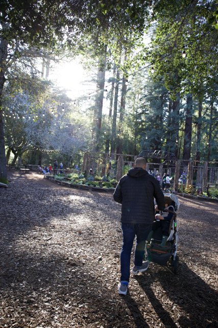 Woodland Wander