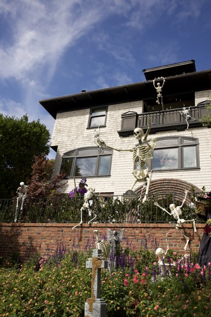 The Haunting Charm of Architecture: A Skeletal Specter in San Francisco
