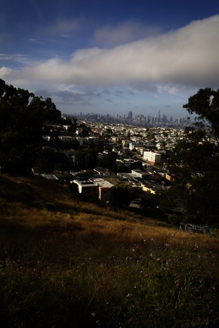 Kite Above the Cityscape: A San Francisco Tale