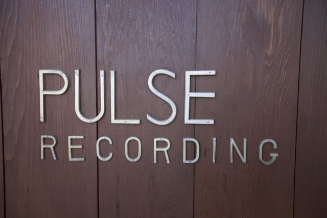 Pulse Recording Logo in Stained Wood Plaque