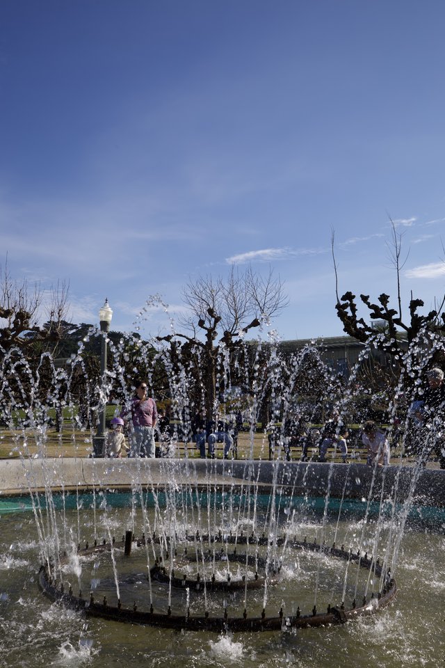 Fountain Display in Urban Park with Bare Trees
