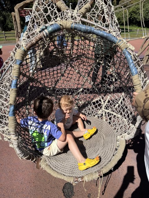 Adventures on the Spider Web