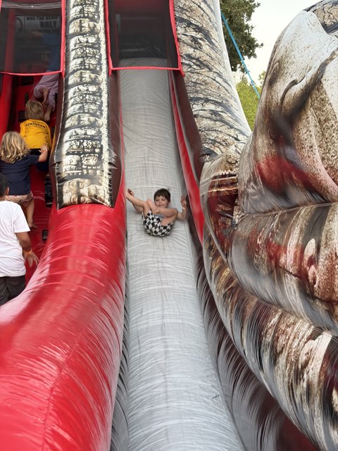 Adventure Down the Slide