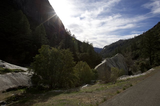 Journey Through the Wilderness: A Mountain Road in Yosemite