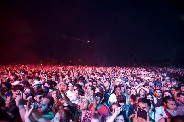 Urban Nights: 2017 Coachella Concertgoers Raise the Roof