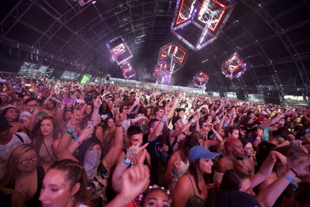 Coachella 2016 Music Festival Crowd