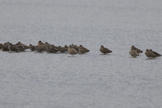 Resting on the Tides