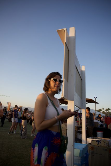 Captured Moments at Coachella 2024