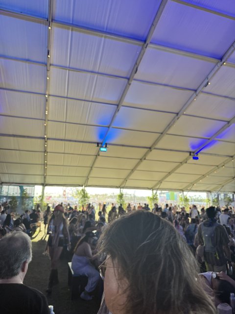 Buzzing Vibes Under the Canopy