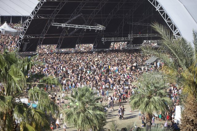 Coachella 2014: Music and Mayhem