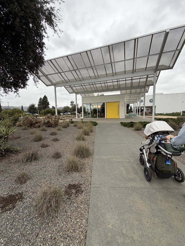 Modern Solar Canopy Entry with Sustainable Desert Landscaping