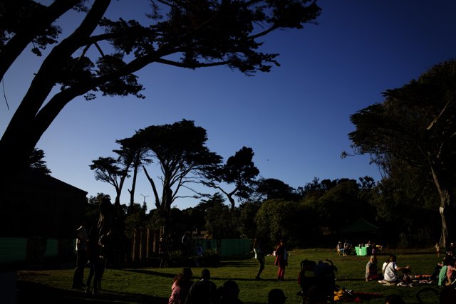 Summer Gathering in Delores Park, 2023