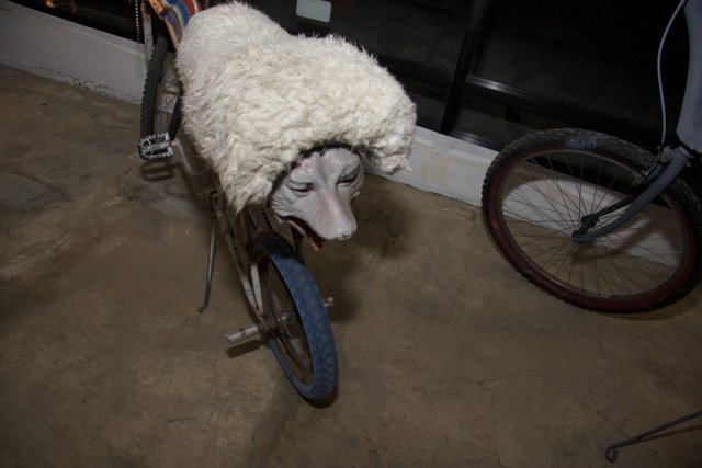 The Sheepdog Cyclist