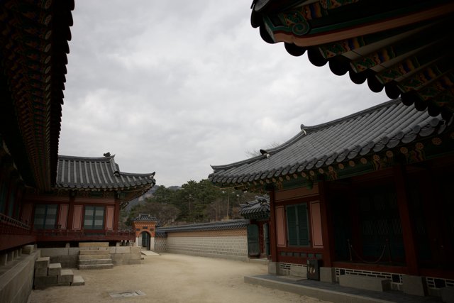 Serene Courtyard View in Korea, 2024