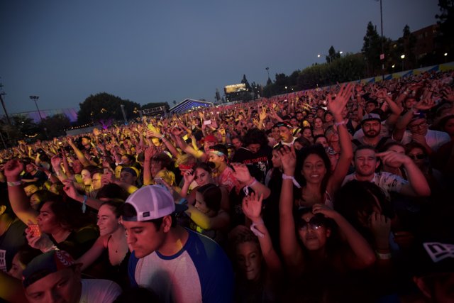 FYF Fest Crowd Rocks Out to the Music