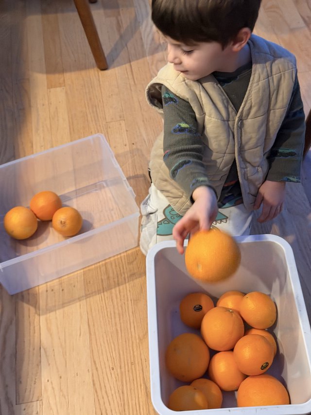 Young Boy Sorting Oranges in Kitchen Activity