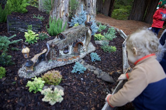 Enchanted Garden Discoveries